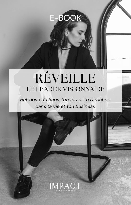 ebook, dirigeant, entrepreneur, business, vision, perte de sens